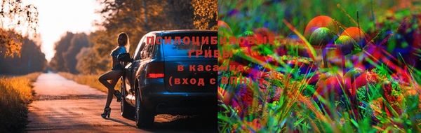 СК Арсеньев