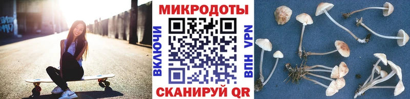 Купить  Азов  Псилоцибиновые грибы Psilocybine cubensis 